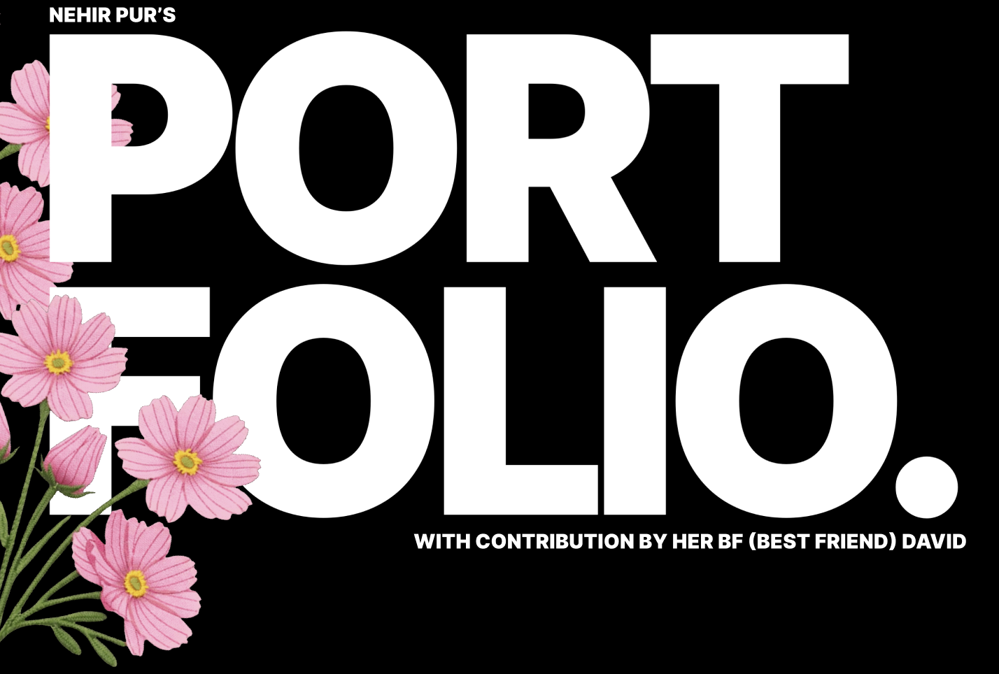 Nehir Pur's Portfolio