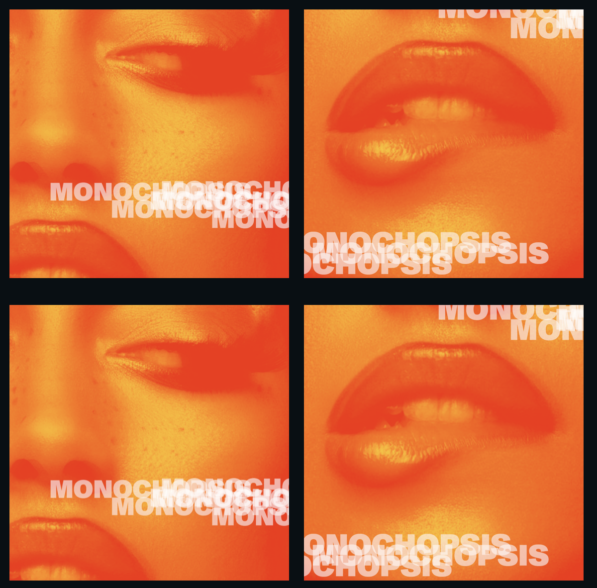 Monochopsis